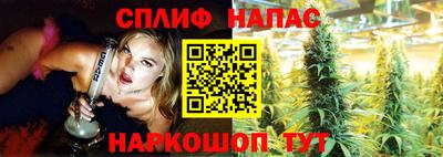 МДПВ Гусев